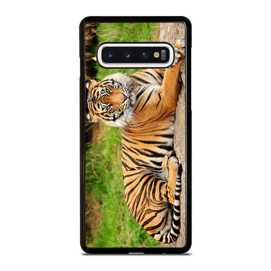 BENGAL TIGER Samsung Galaxy S10 Case