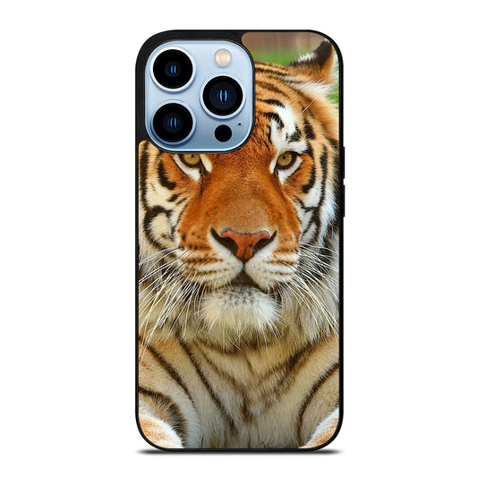 NEW BENGAL TIGER FACE iPhone 13 Pro Max Case